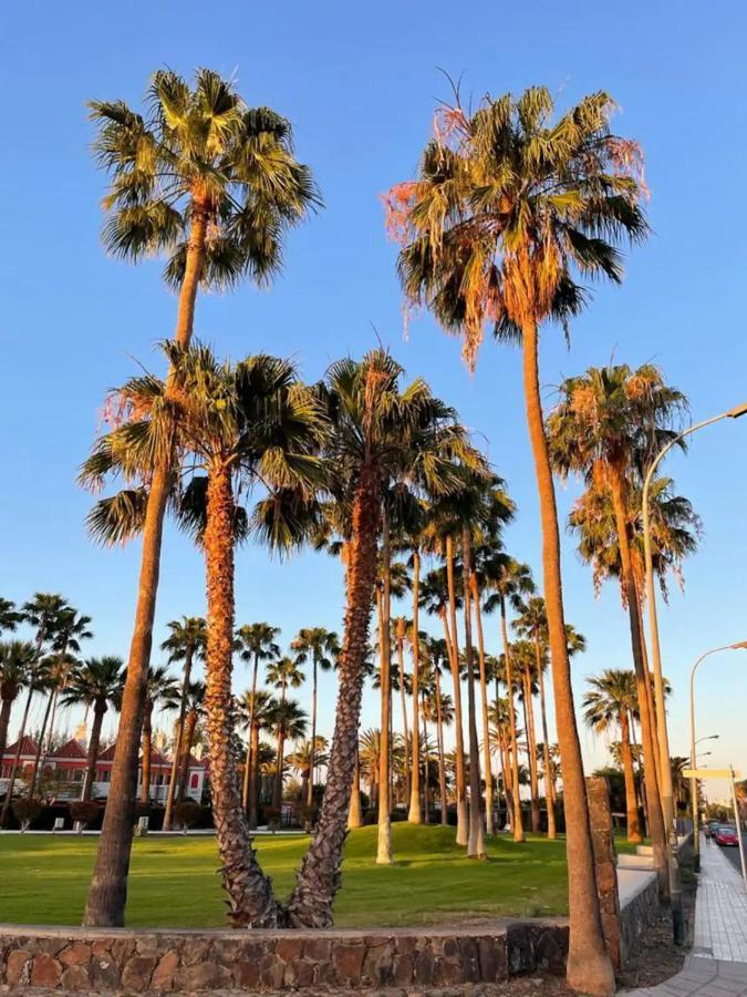 Playa Del Ingles Vitamine D Garantie San Bartolomé Εξωτερικό φωτογραφία